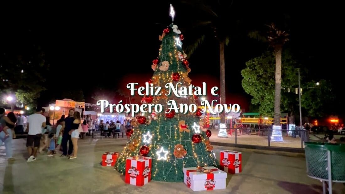 Feliz Natal e próspero Ano Novo! - Diretoria de Gestão de