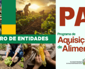 PAA 2026 – ENTIDADES